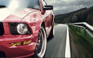 Auto Insurance Tampa