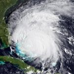 Home Insurance Tampa